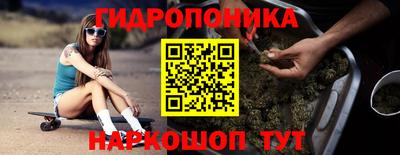 гашик Волжский