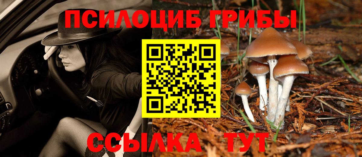 Псилоцибиновые грибы GOLDEN TEACHER  Псилоцибиновые грибы Cubensis  Лобня  Вход с VPN 